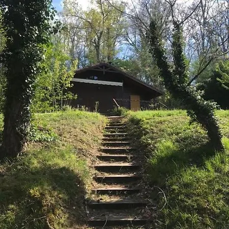 Au Milieu De La Foret Avec A Proximite