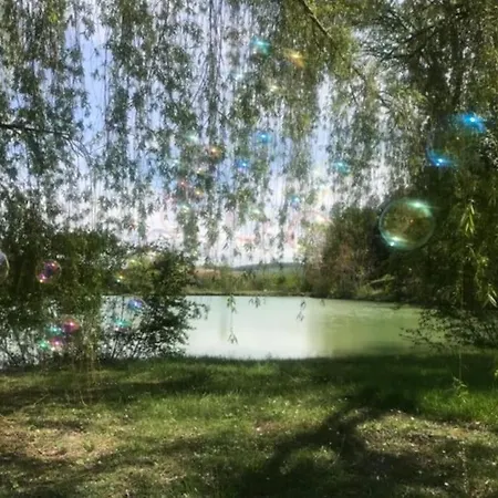 Au Milieu De La Foret Avec A Proximite Villa Layrac