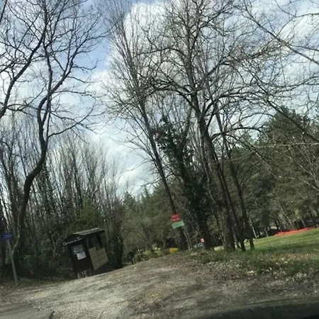 Au Milieu De La Foret Avec A Proximite