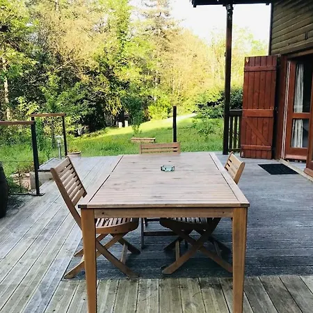 Au Milieu De La Foret Avec A Proximite *